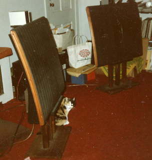 Quad ESL speakers and Evelyn (zoom) - (cat)