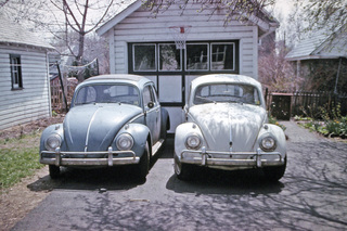 Philip E. Rosenberg slides -- two Volkswagon beetles