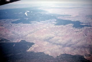 Philip E. Rosenberg slides -- Betsy