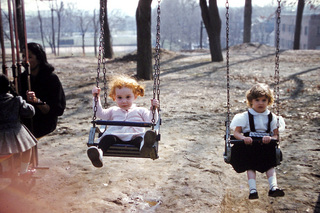 Philip E. Rosenberg slides -- alligator