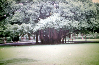 Philip E. Rosenberg slides -- Hawaii