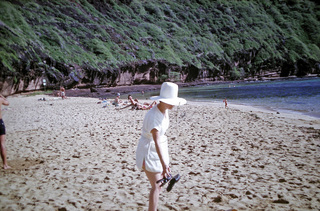 Philip E. Rosenberg slides -- Hawaii