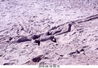 Philip E. Rosenberg slides --