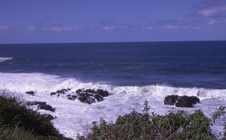 Philip E. Rosenberg slides -- seder - Morris