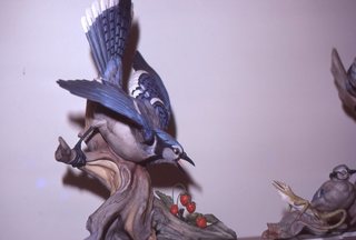 Philip E. Rosenberg slides seder - Beohm bird