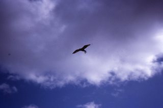 Philip E. Rosenberg slides - San Francisco