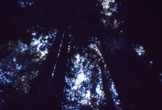 Philip E. Rosenberg slides - San Francisco