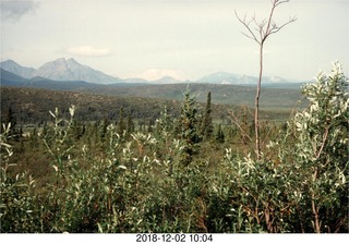 18 102. Alaska trip - Mount Denali in the far distance