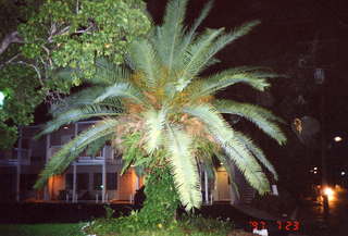 Key West - End of US Route 1 (US1)