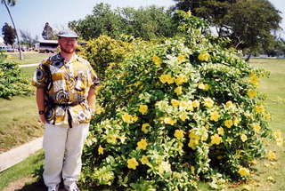 Puerto Rico, Adam matches a bush