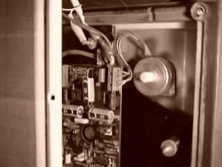 Triathlon Olympic Trials 2000