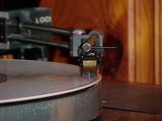 Linn/LOCI, blurry, head-on