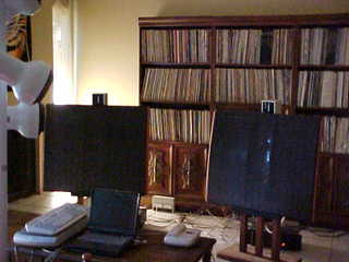 Quad ESL speakers and Evelyn - (cat)