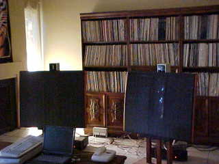 Quad ESL speakers and Evelyn (zoom) - (cat)