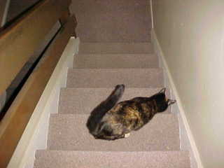 Back down the stairs.