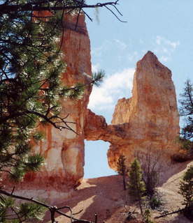 CHS XC Adam at bridge