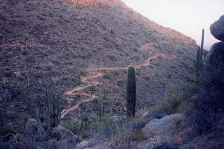 Bryce Canyon hoodoos 8 combination picture