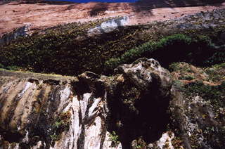 Zion National Park, up from Weeping Rock