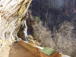 Zion National Park -- Weeping Rock
