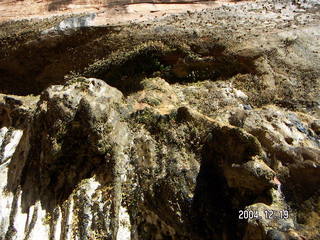 Zion National Park -- Weeping Rock