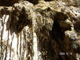 Zion National Park, Weeping Rock 2