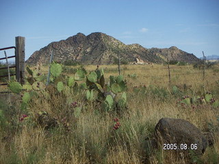Bagdad, Arizona, run