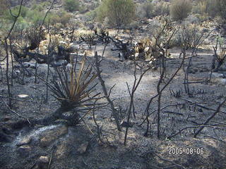 Bagdad, Arizona, run -- fire damage