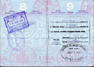 Passport 8-9 visas