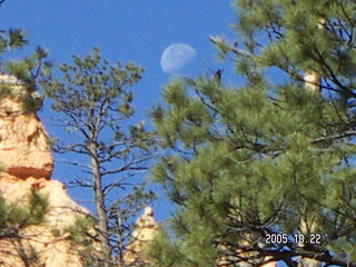 Zion National Park -- moon over rocks in shadow