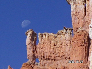 MSLT Ringtail Trail, moon behind cactus