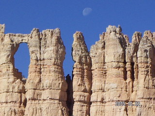 MSLT Ringtail Trail, moon behind cactus
