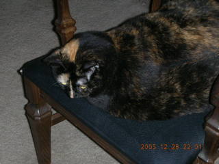 New Nikon: my LOCI tonearm pivot