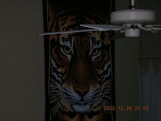 Ninth picture with my new Nikon Coolpix S2 -- tiger wall hanging