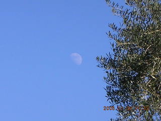 daytime moon picture