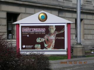 Cheltenham XC banquet