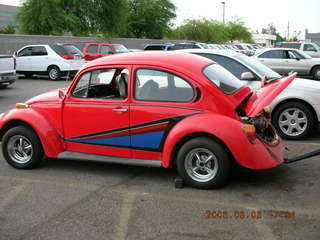 Volkswagon beetles at Doug's Bugs and Bunnies