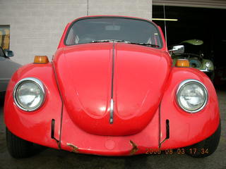 Volkswagon beetles at Doug's Bugs and Bunnies