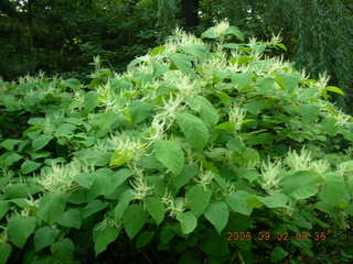 Minnesota trip - Afton run