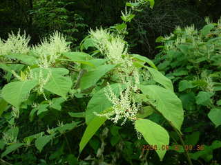 Minnesota trip - Afton run - Adam