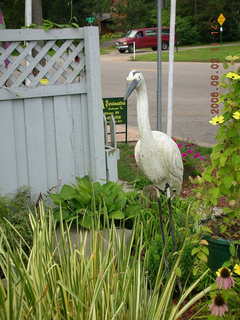 Minnesota trip - Afton run