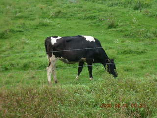 Minnesota trip - Afton run