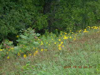 Minnesota trip - Afton run