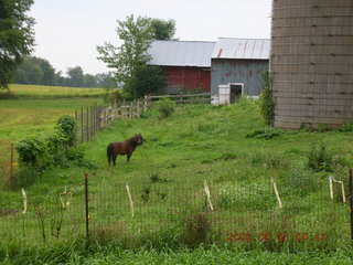 Minnesota trip - Afton run
