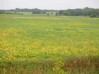 Minnesota trip - Afton run - Adam