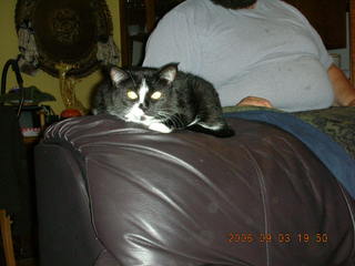 Minnesota trip - cat's glowing eyes