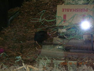 pretty flowers in Northeast Philadelphia