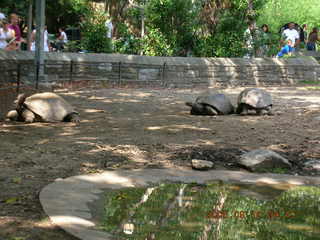 Lee's Hoagie House - Cheltenham Avenue