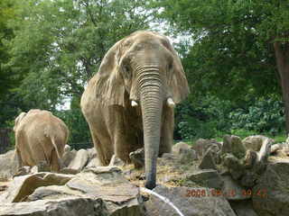 Lee's Hoagie House on Cheltenham Avenue -- the original Lee's
