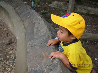 Philadelphia Zoo -- Gaby