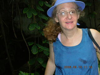 Philadelphia Zoo -- peacocks